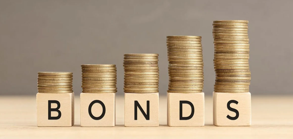 Advantages of Investing in State Government Guaranteed Bonds
